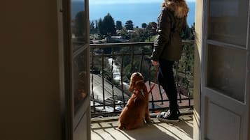 Camera doppia, vista lago | Balcone