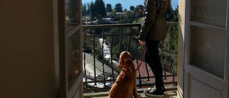 A balcony with a view of a river and mountains.