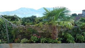 A stone wall with lush greenery and a palm tree. - B&B Casa Forster (Cannero Riviera)