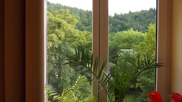 아파트, 침실 2개, 산 전망 | 객실에서 보이는 전망