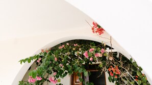 An arched doorway with a white wall and a vine with pink flowers. - Memento Perissa (Santorini)