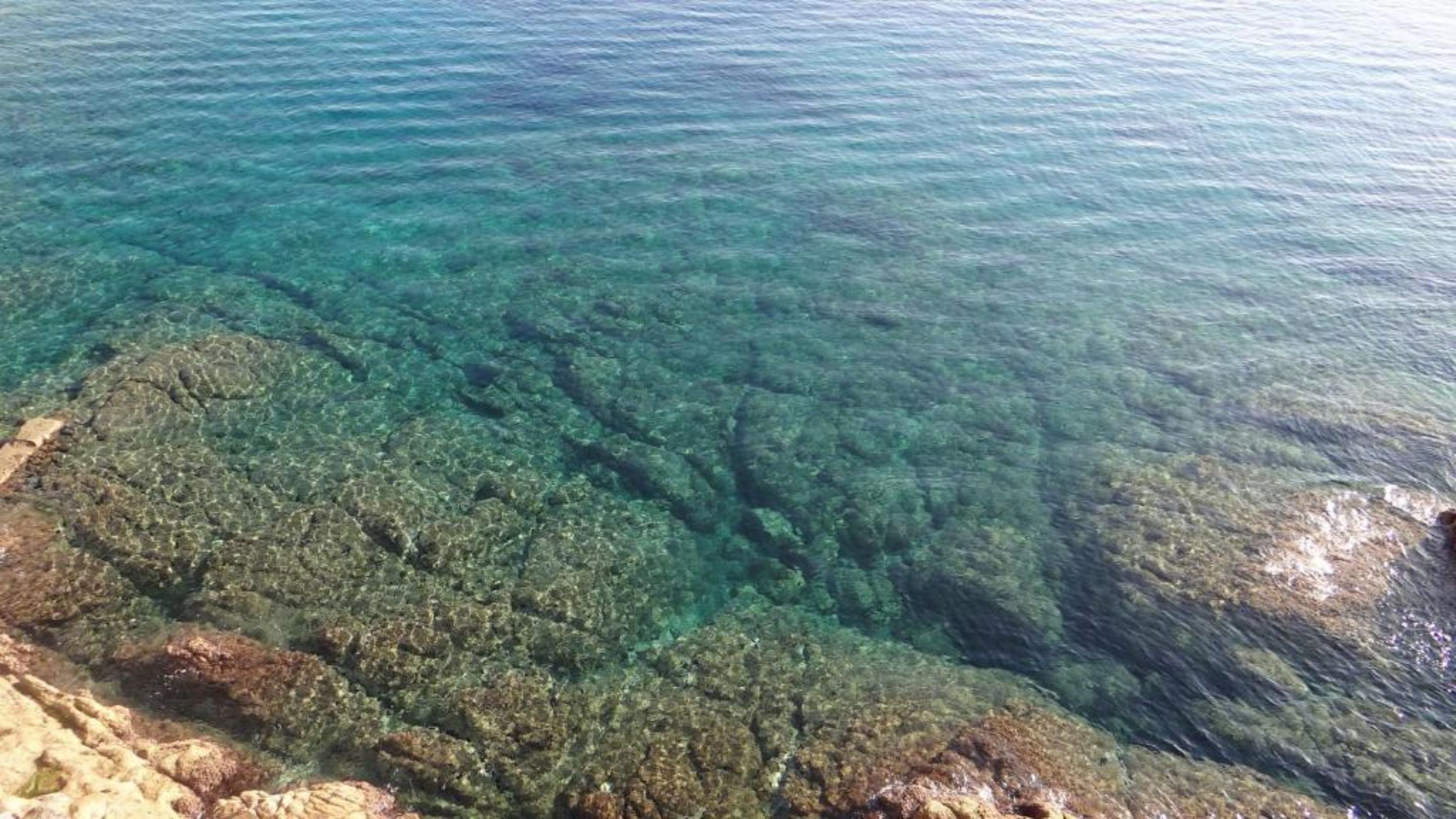 junior suite | view from room