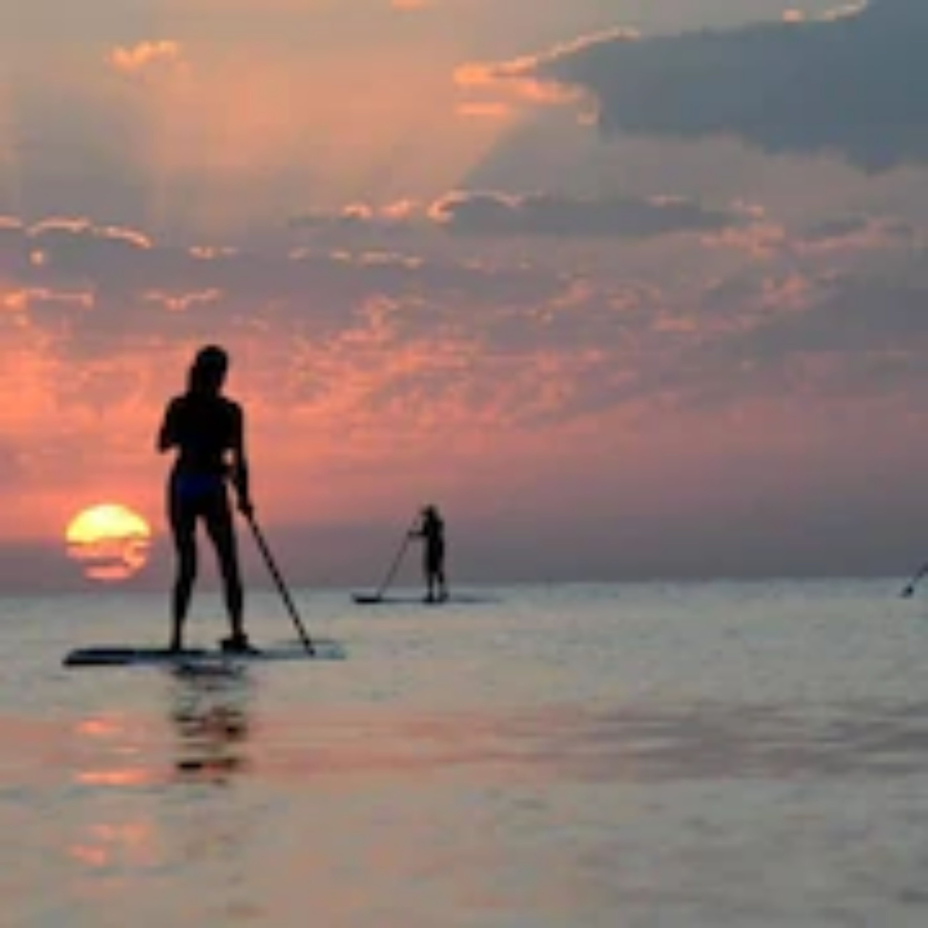 surfing/boogie boarding