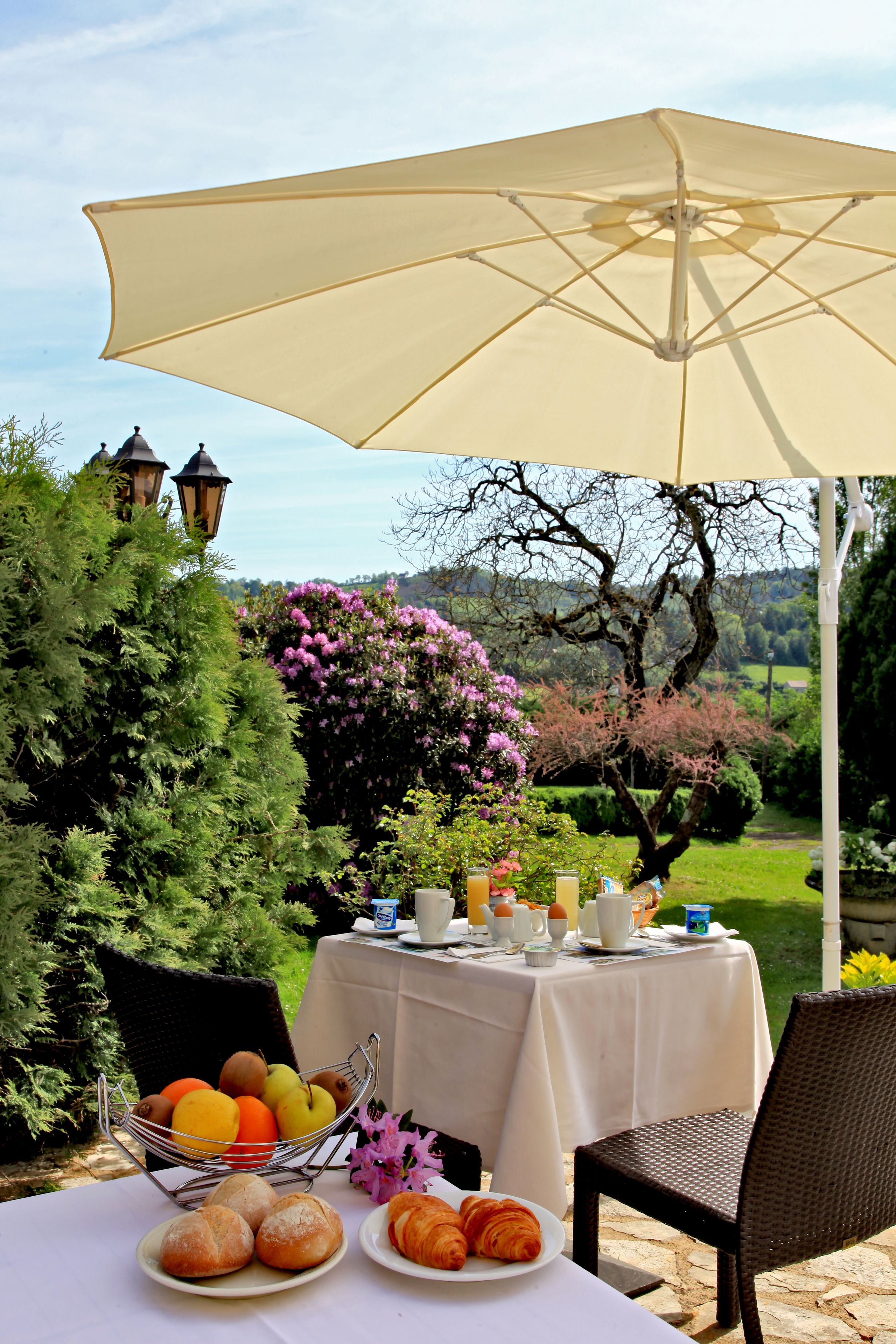 dinner served, french cuisine, garden views