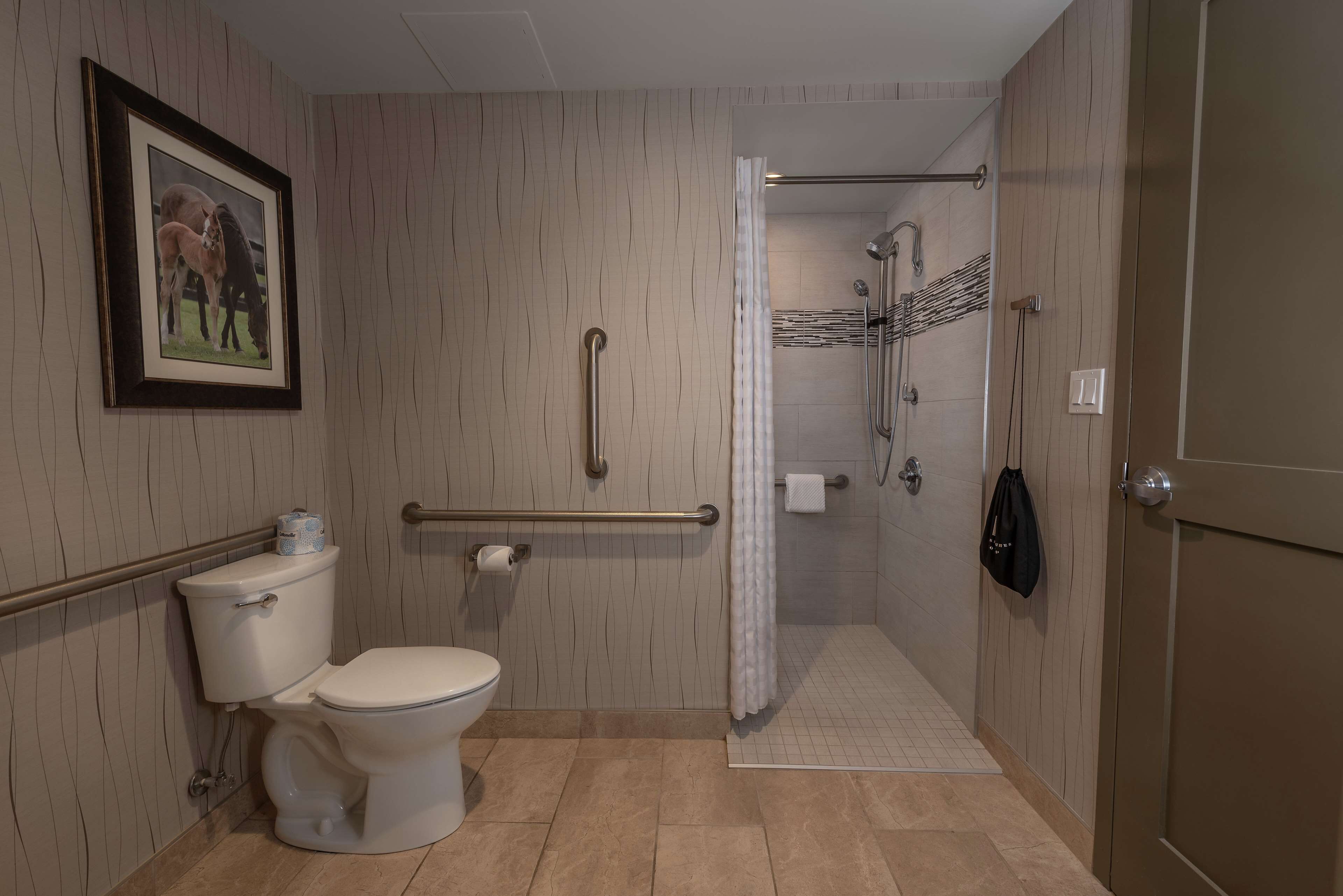 A bathroom with a toilet, a shower with a grab bar, a framed picture on the wall, and a towel rack.