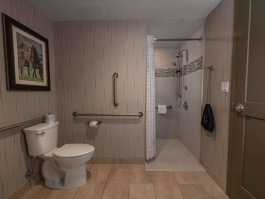 A bathroom with a toilet, a shower with a grab bar, a framed picture on the wall, and a towel rack.