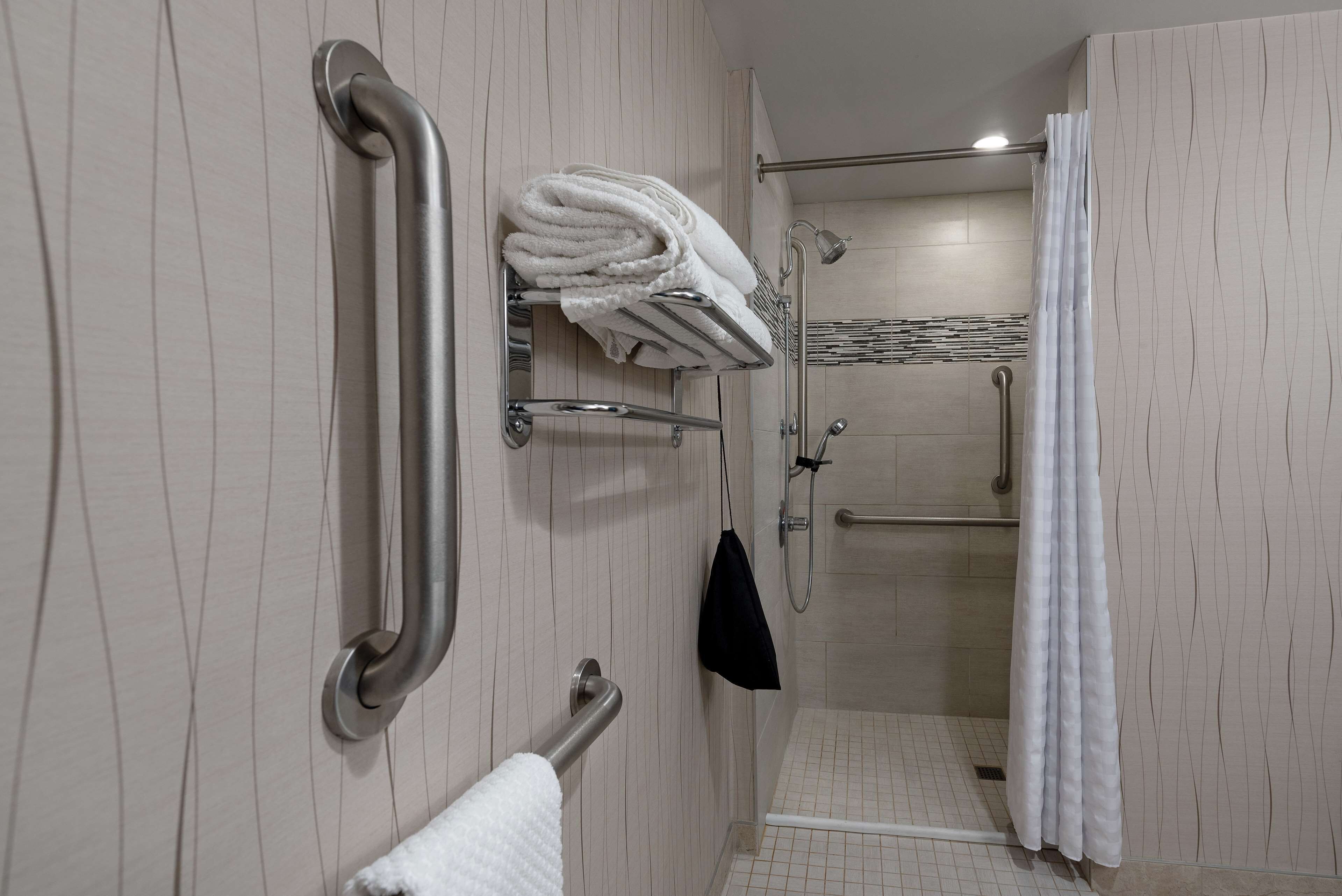 suite, accessible | bathroom shower