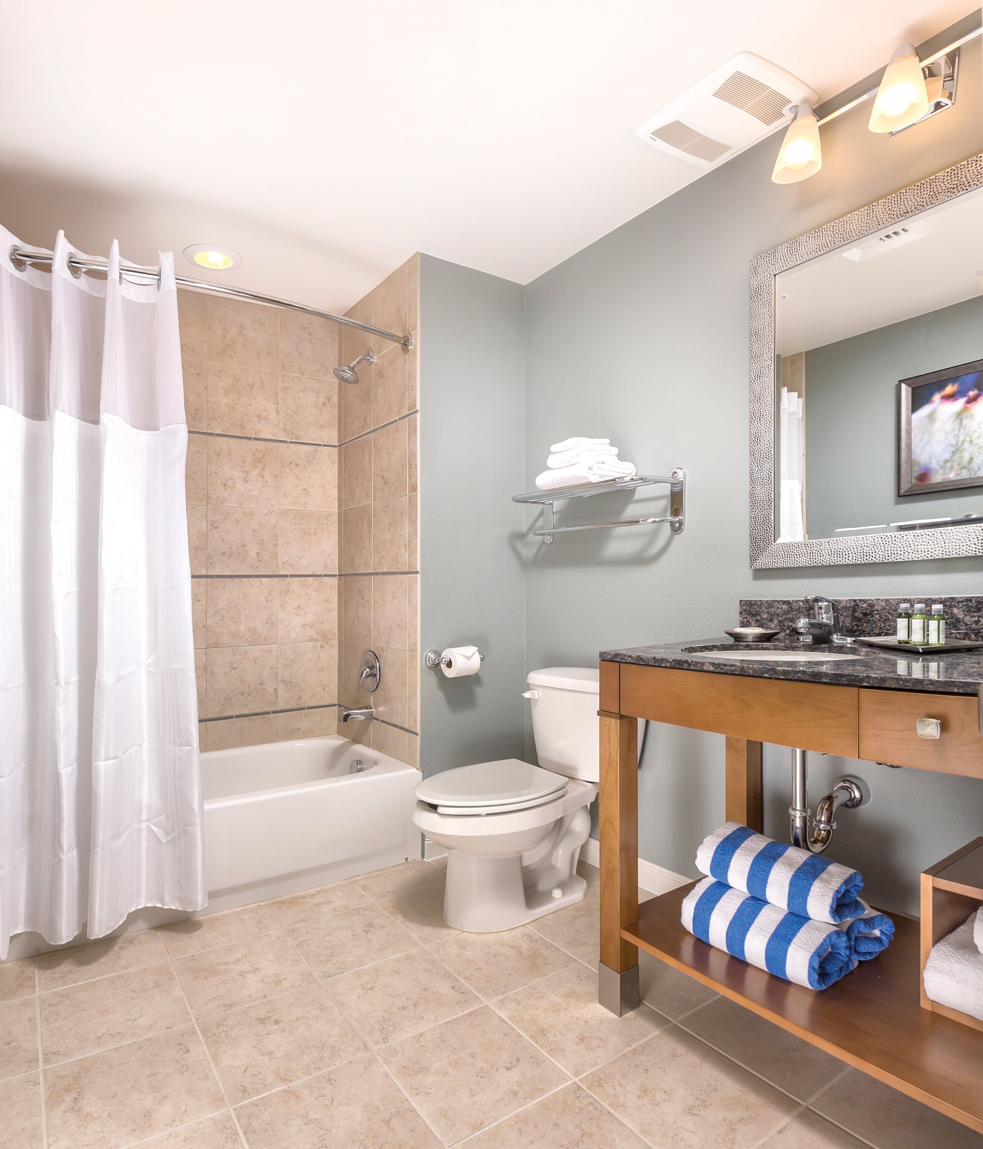 hair dryer, towels, soap, shampoo