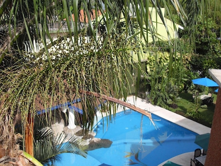 Una piscina al aire libre, sombrillas, tumbonas