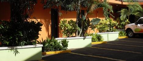 Un estacionamiento con un coche blanco, rodeado de vegetación y un edificio de fachada naranja.