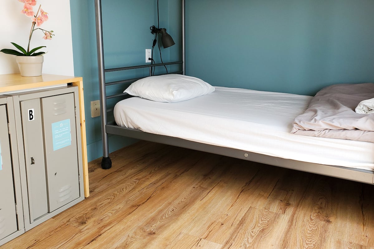A single bed with a white mattress and pillows, a bedside lamp, a wooden nightstand, and a potted orchid.