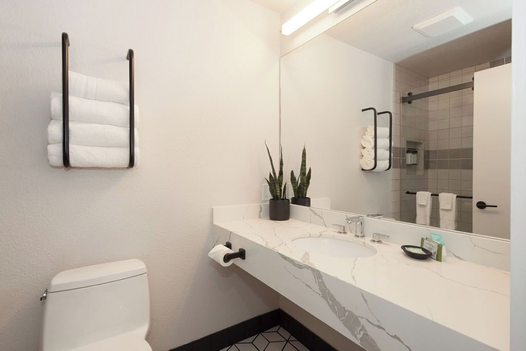 Un baño con inodoro blanco, lavamanos de mármol, toallero, espejo y planta en maceta.