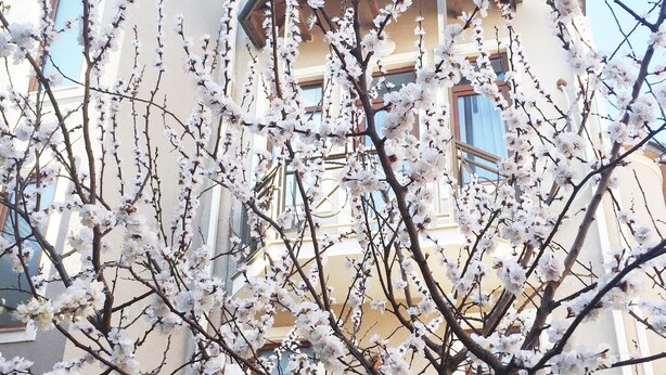 Unclassified image, 1 of 66, button - Mirobelle Hotel (Tbilisi)