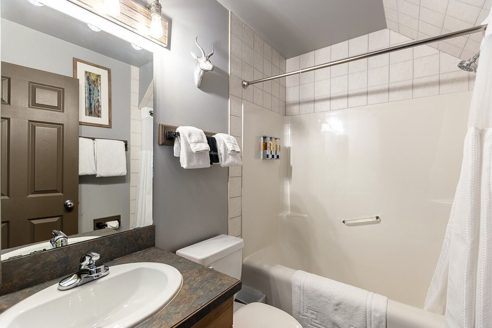 combined shower/bathtub, free toiletries, hair dryer, towels