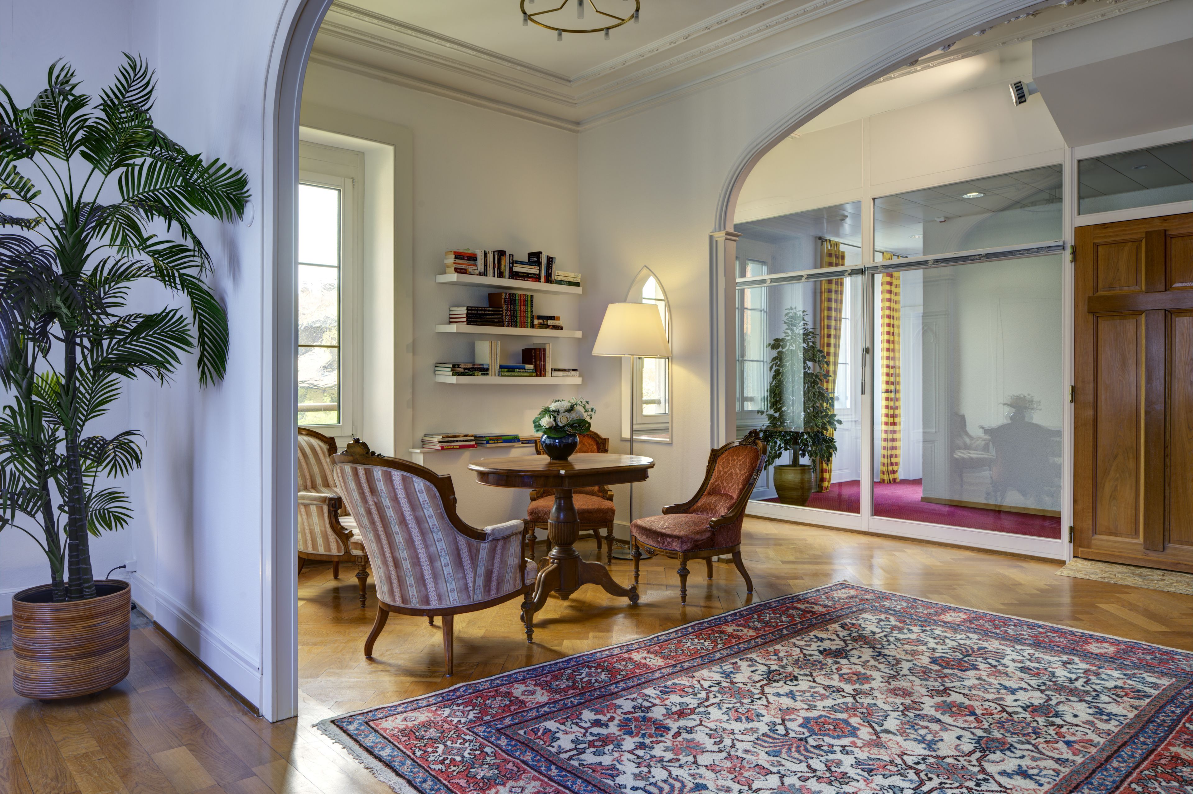 Una habitación amplia con suelo de madera, una planta grande en maceta, una mesa redonda con sillas, una estantería y un ventanal con cortinas.