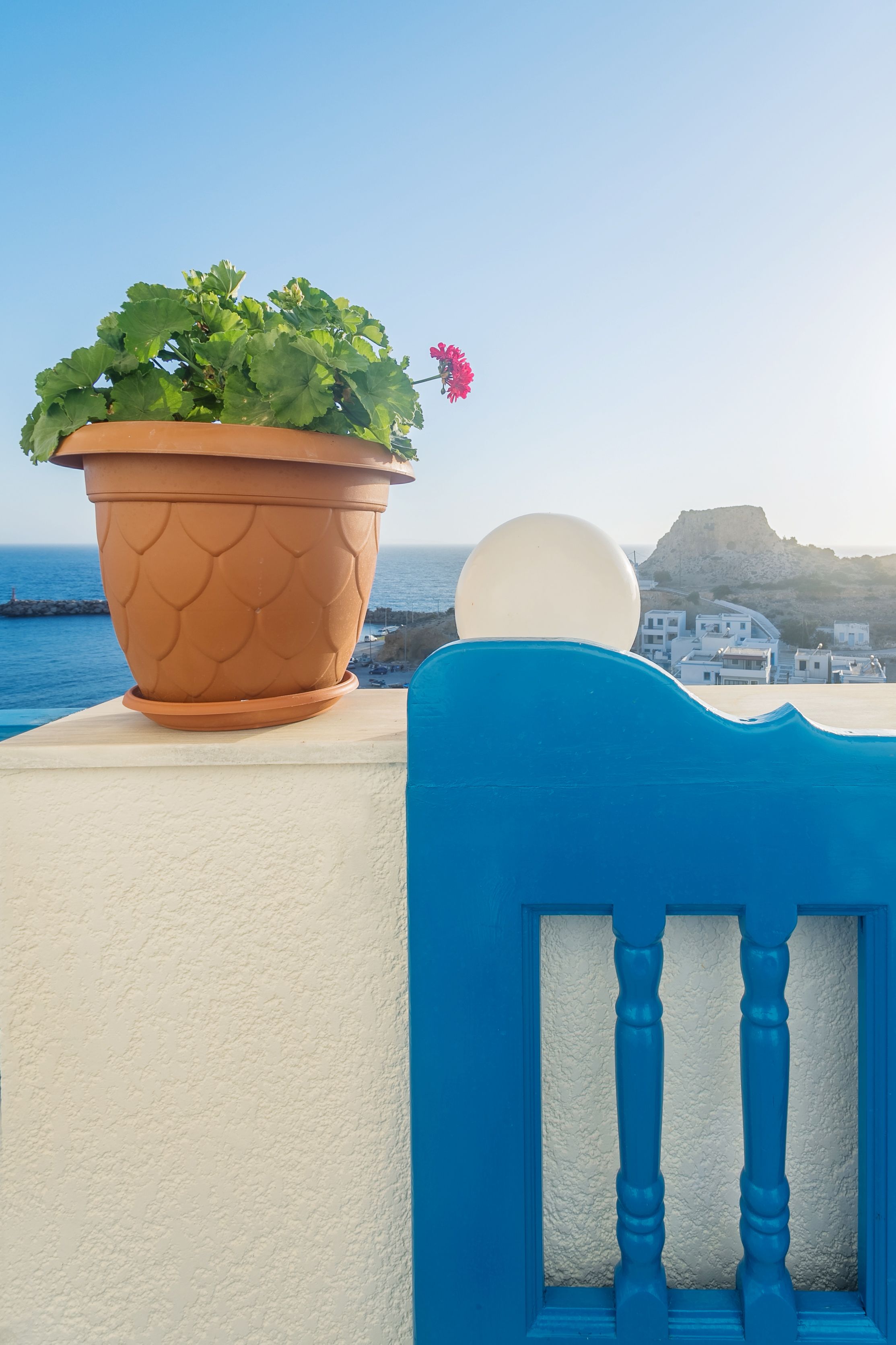 A terracotta pot with green foliage and a pink flower on a balcony with a blue railing, overlooking a coastal town and sea.