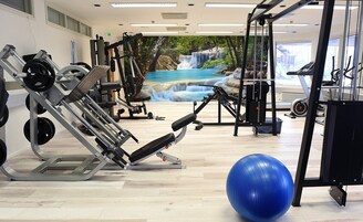 Un gimnasio con equipo de ejercicio, una pelota de ejercicio azul y un mural de una cascada.