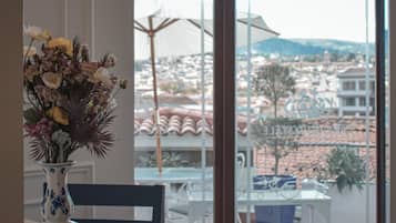 Luxury-Penthouse, 1 Schlafzimmer, Stadtblick | Blick auf die Stadt