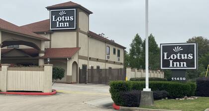 Lotus Inn