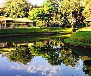 Property grounds - Hotel Colores del Arenal (La Fortuna)
