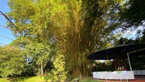 Een park met een vijver, een overdekt zitgedeelte en weelderig groen.