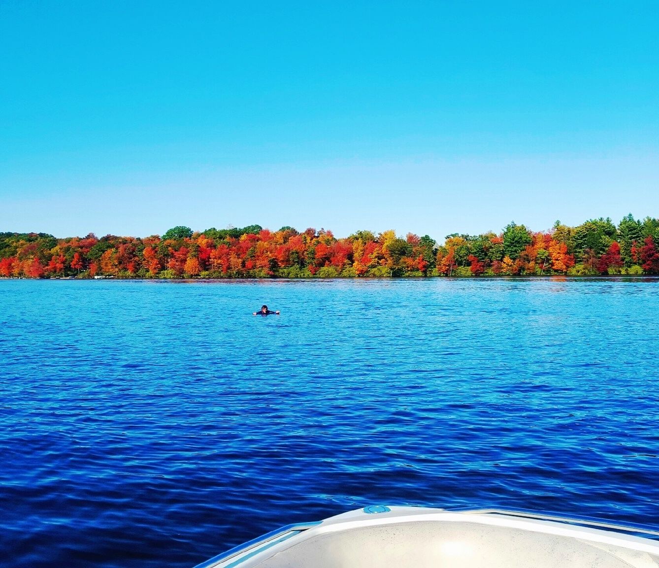 A boat on a calm lake with a person swimming in the distance and colorful trees along the shore.