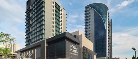 Vista des de l'allotjament