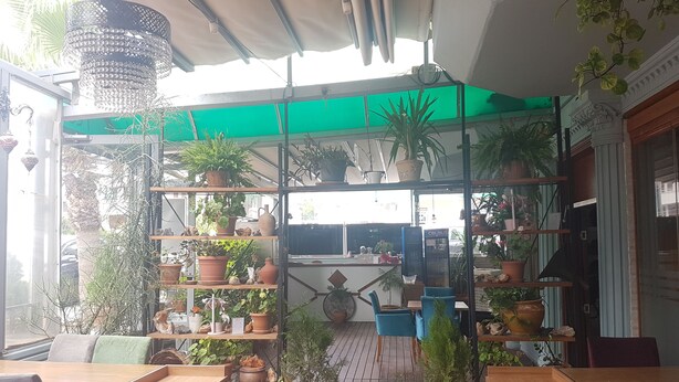 An outdoor seating area with wooden tables and chairs, surrounded by potted plants and a green awning. - Teos Hotel (Antalya)