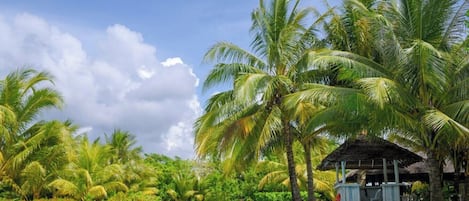 2 outdoor pools