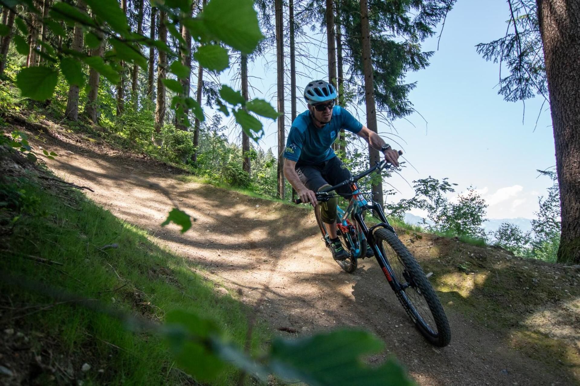 Eine Person fährt mit einem Mountainbike auf einem Feldweg, umgeben von Bäumen.