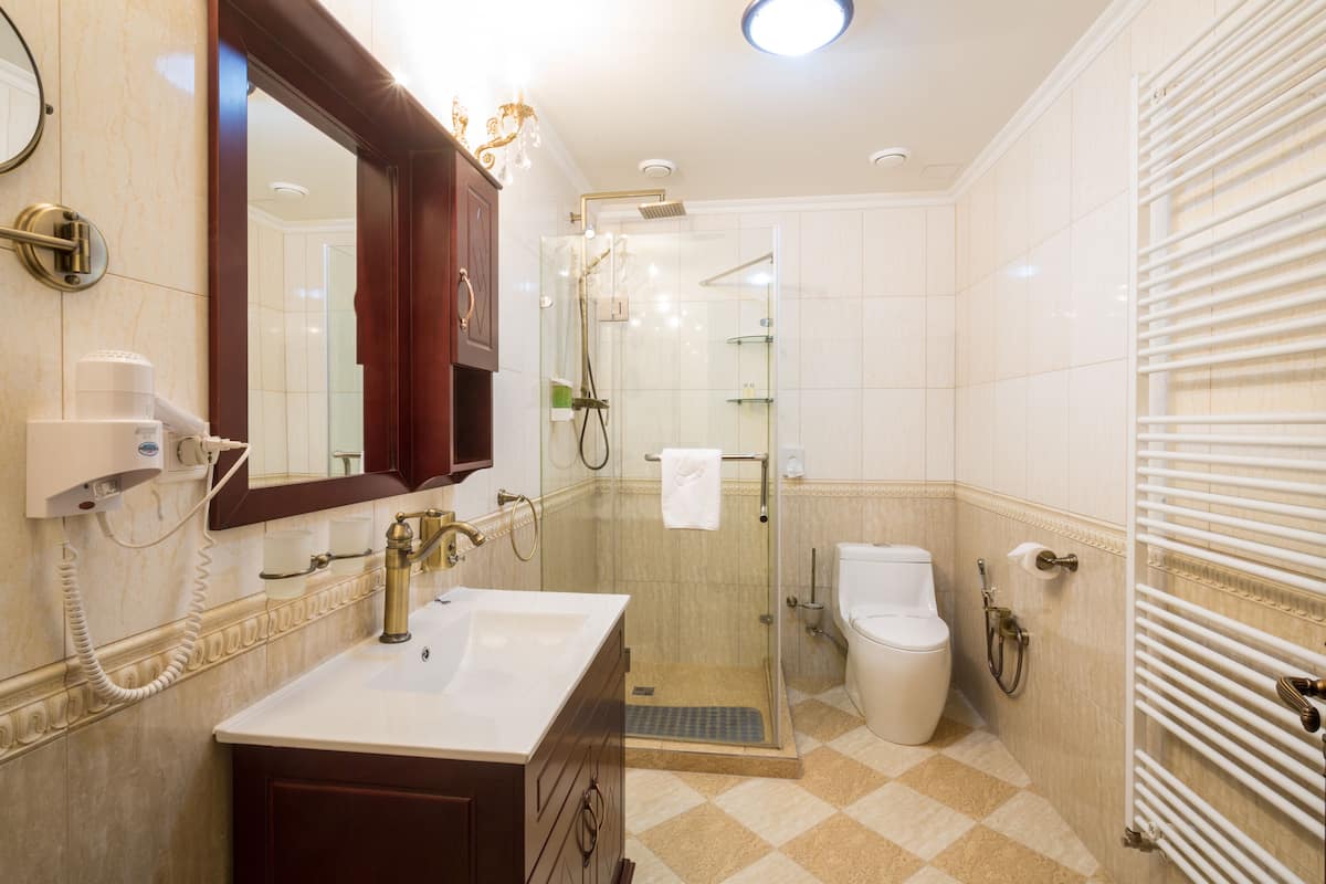 Shower, hydromassage showerhead, free toiletries, hair dryer