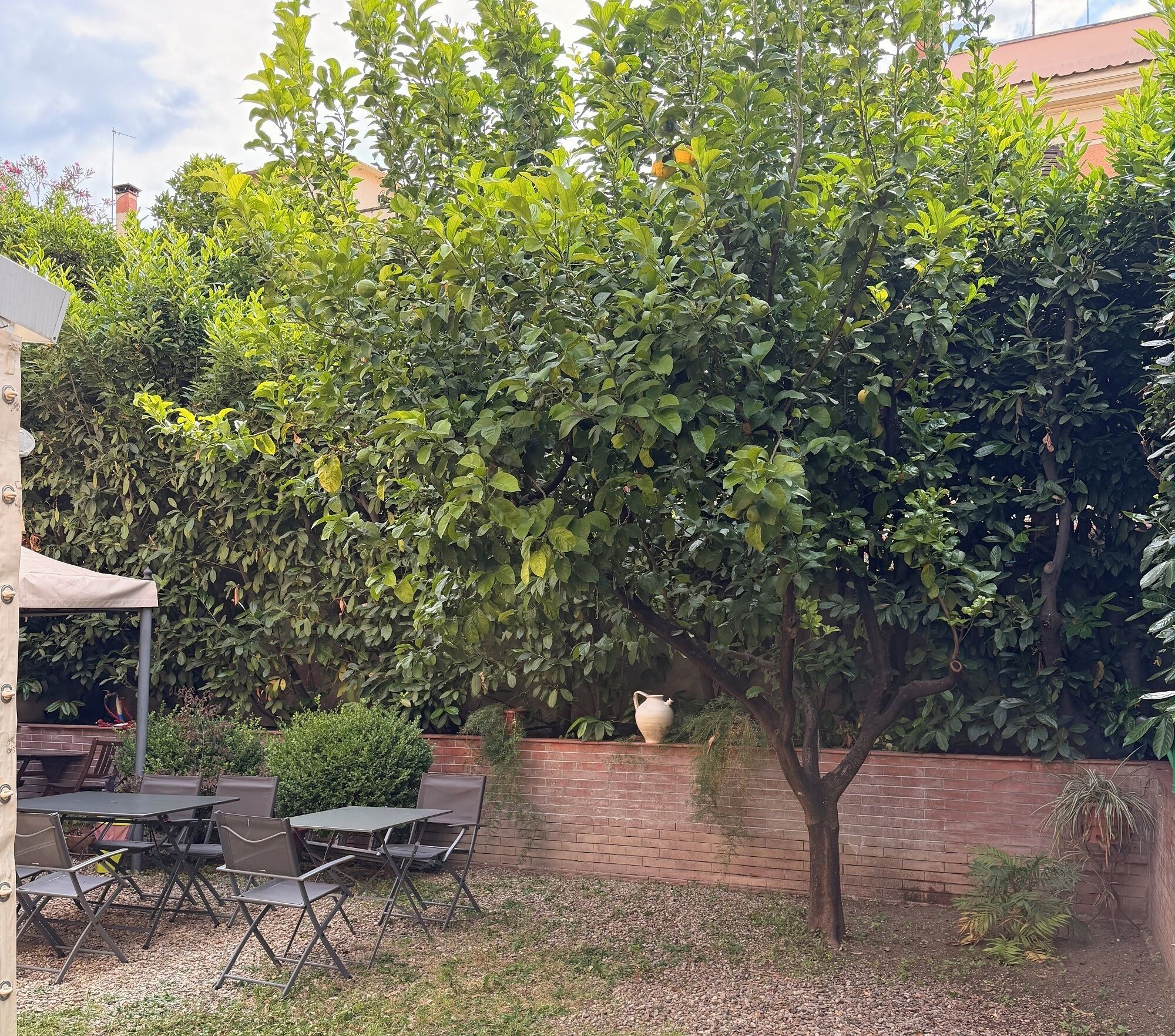 An outdoor seating area with tables and chairs, surrounded by dense foliage and a brick wall.