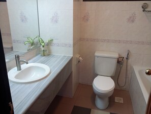 Studio Suite (Apartment, Mountain View with Balcony) | Kamar mandi | Kombinasi shower/bathtub, pengering rambut,  dan handuk