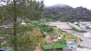 A rural landscape with terraced fields, a small house with a red roof, and a large greenhouse structure. - E Resort (Brinchang)