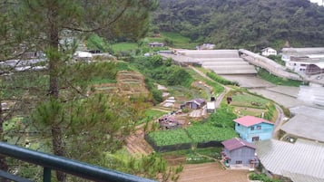 Vista desde la propiedad