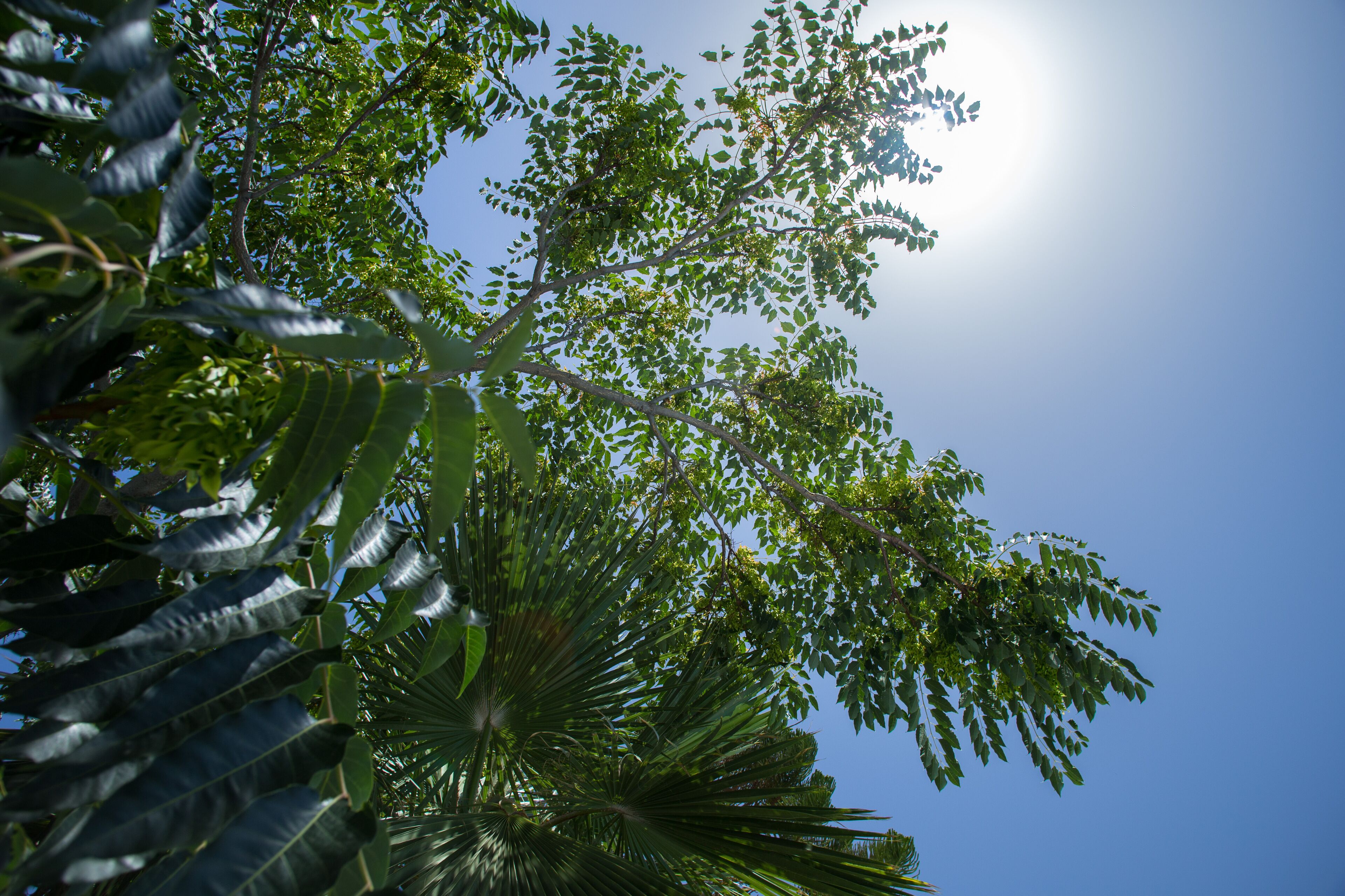 Photo - Maistros Village