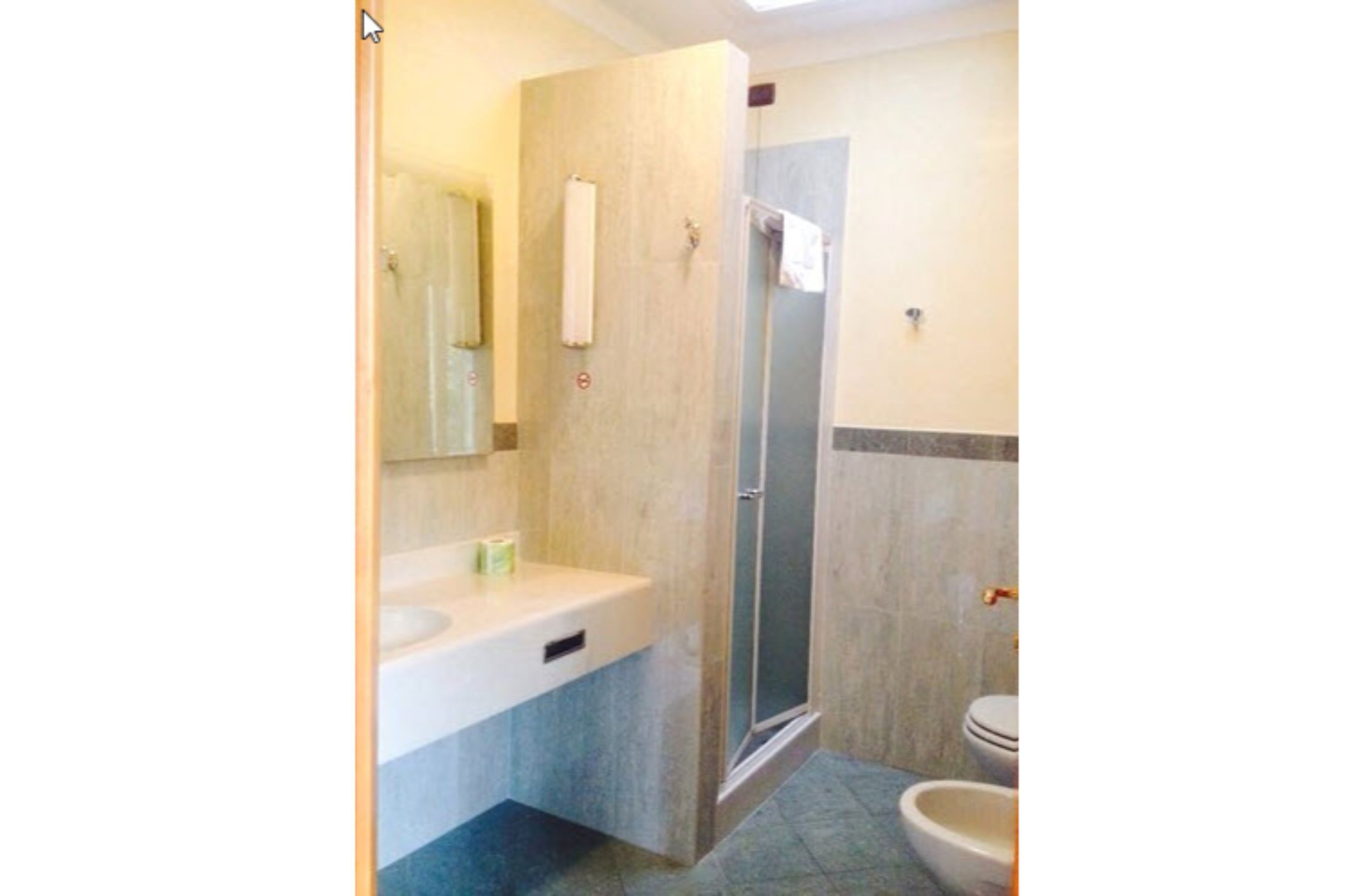 Une salle de bain avec douche, toilettes et lavabo.