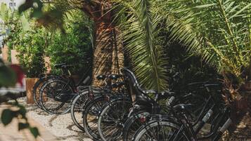 Bicicletas estacionadas en un área sombreada con palmeras y un paseo de baldosas.