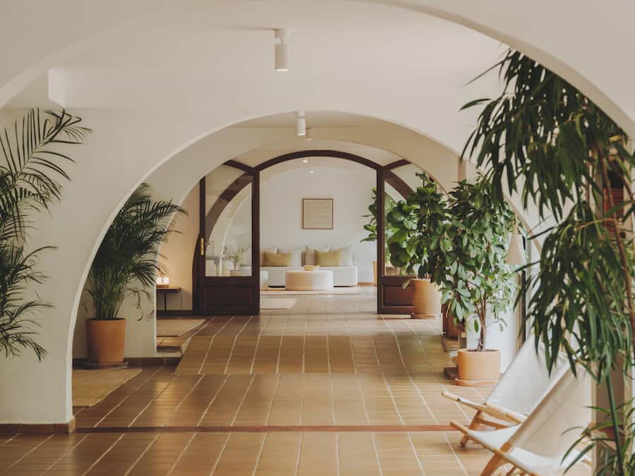 Un ambiente interno con pavimento piastrellato, soffitto a volta e piante in vaso.