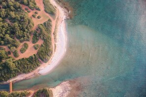 Trên bãi biển 