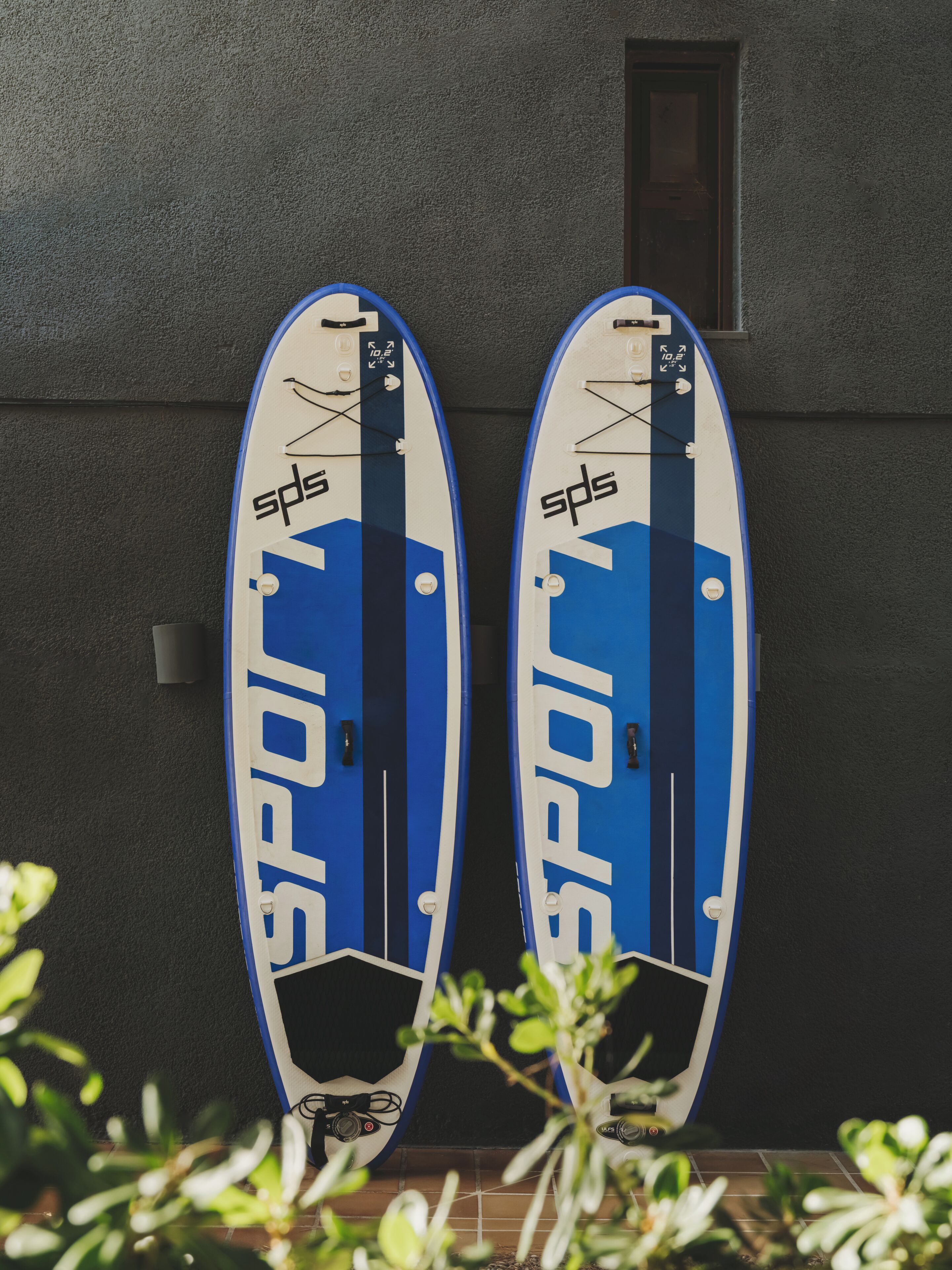 Two surfboards leaning against a wall.