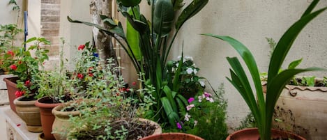 Variedad de plantas en macetas en un balcón con un muro de piedra y una escalera al fondo.