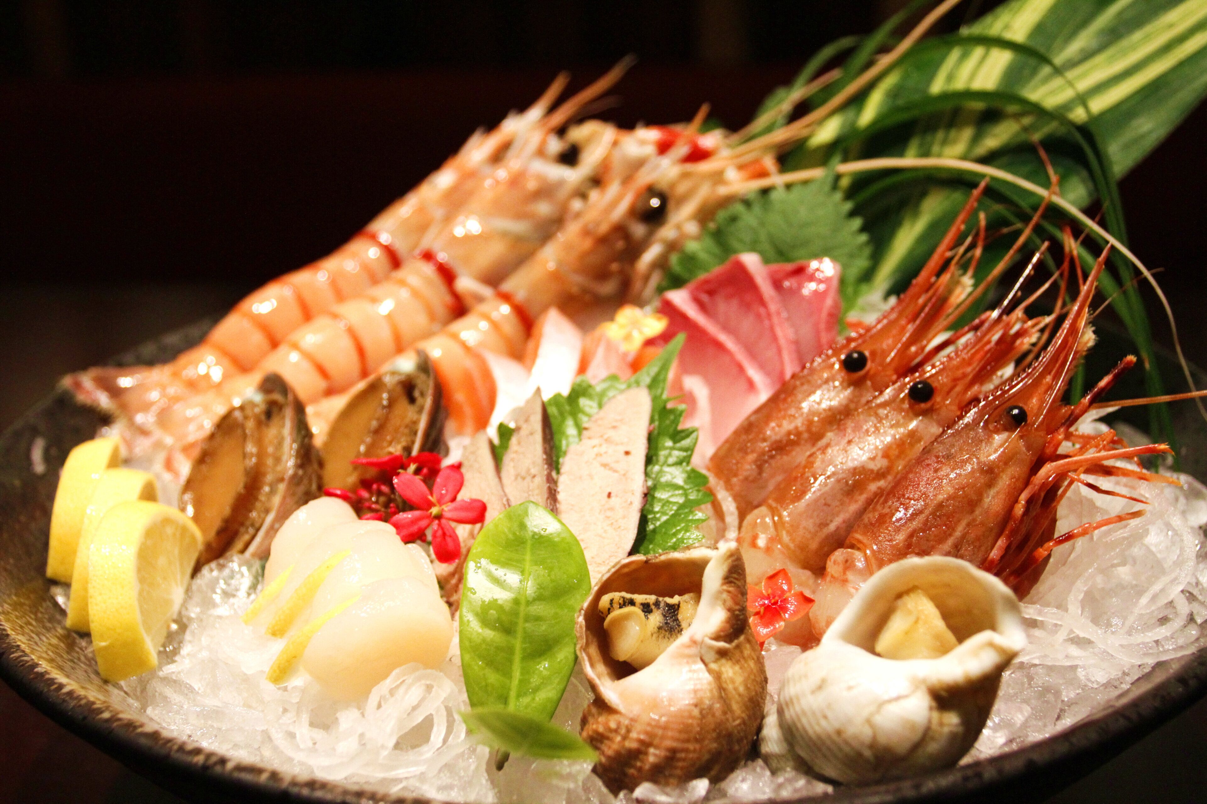 Prato de frutos do mar com camarão, vieiras, amêijoas e outros mariscos sobre gelo, decorado com limão e ervas.