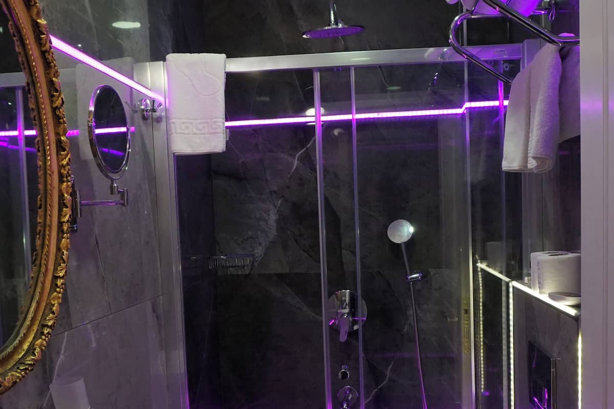 Deluxe Double or Twin Room | Bathroom | Shower, free toiletries, hair dryer, slippers