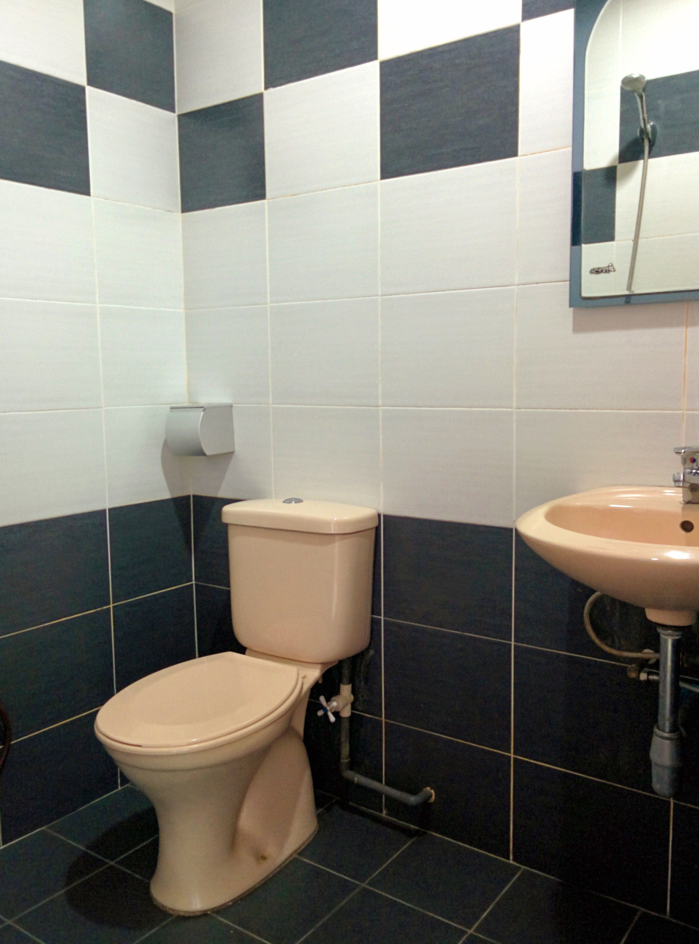 A bathroom with a toilet, sink, and a mirror on the wall.