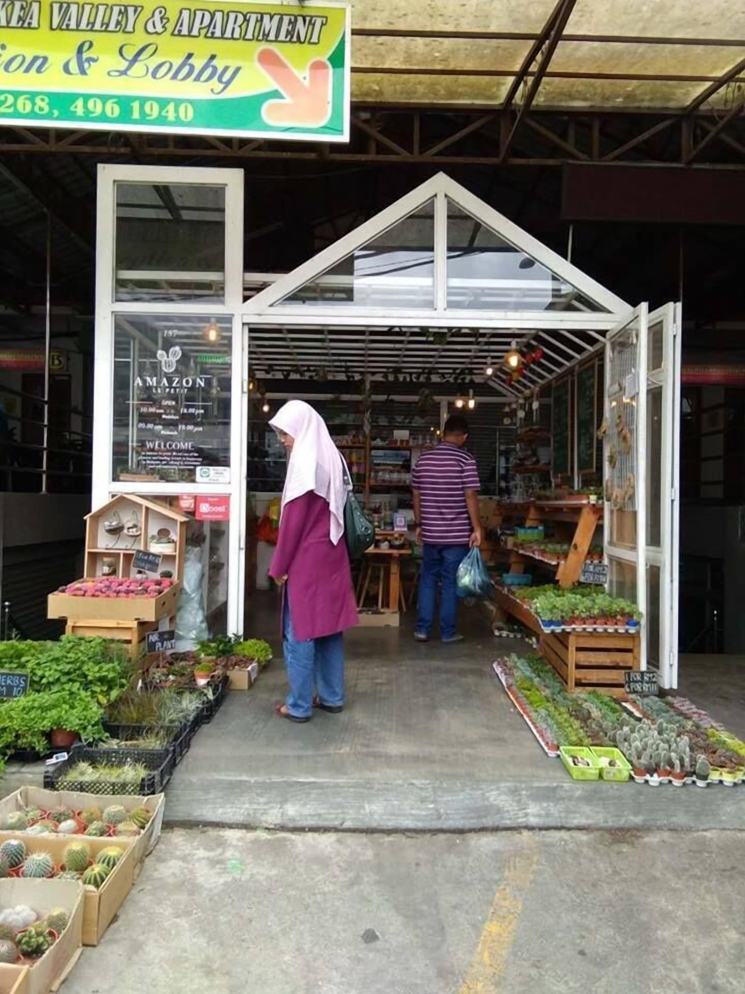 Pequeña tienda al aire libre con una gran variedad de plantas y cactus expuestos.