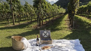 Een picknickopstelling met een mand, wijnglazen en een picknicktafel in een wijngaard.