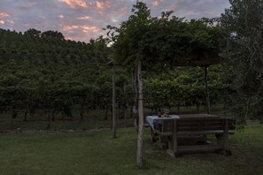 Àrea per a pícnics i barbacoes