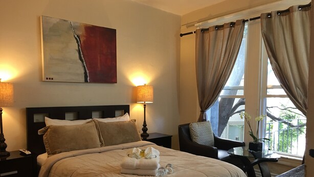 A hotel room with a bed, two bedside lamps, a chair, a small table with a potted plant, and a window with curtains. - Luz Hotel (San Francisco)