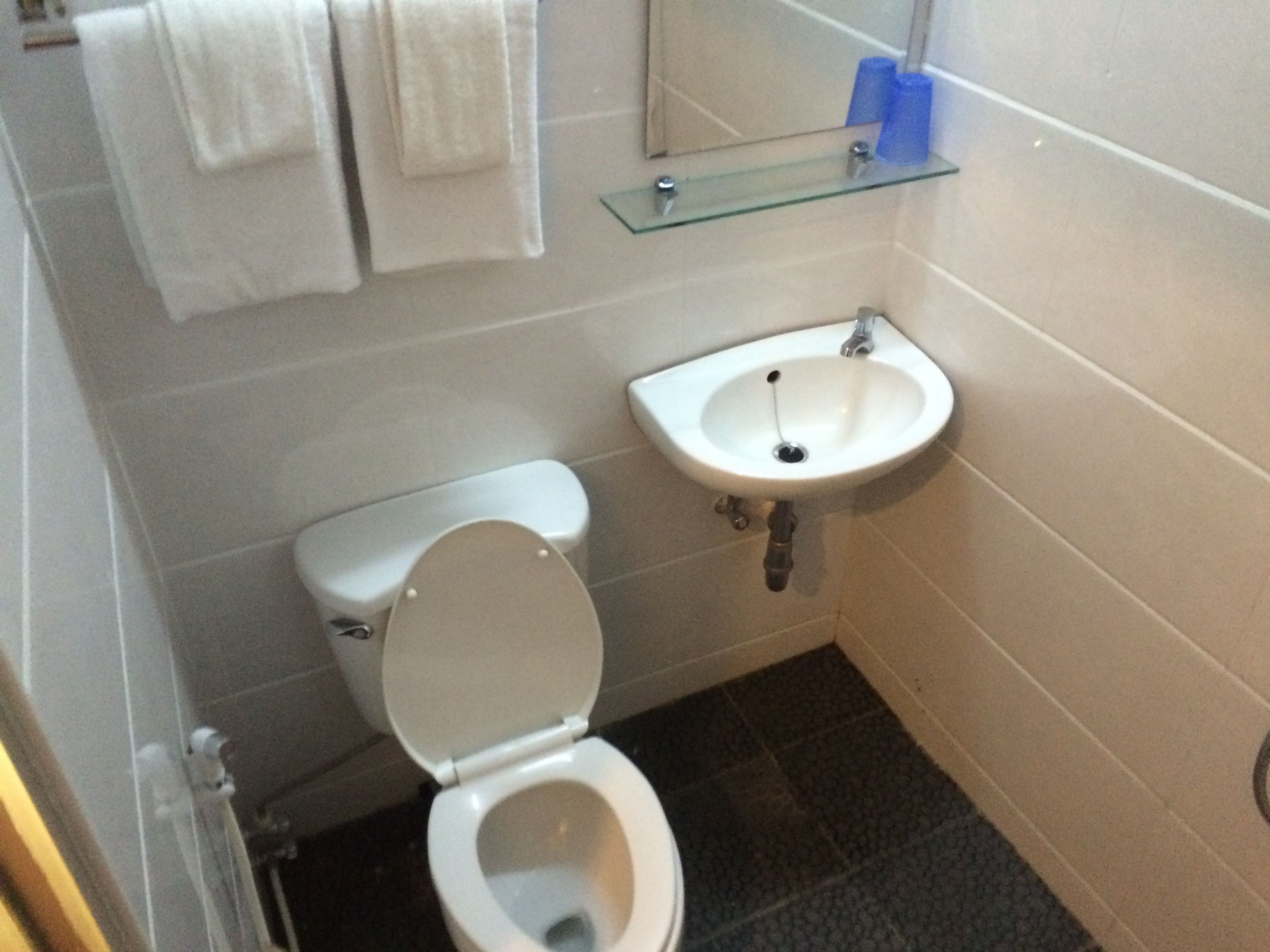 shower, free toiletries, hair dryer, slippers